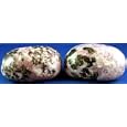Lepidolite Massage Therapy Stones Healing Stones