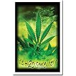 (23x35) Marijuana Pot Leaf It's 4:20 Somewhere Flocked Blacklight Poster Print