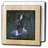 Kike Calvo Animals - Saltwater crocodile jumping Queensland, Australia - Tile Napkin Holders