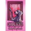 Chasing Secrets