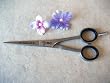 Roseline German Shears