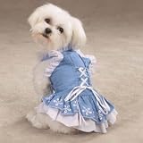 Medium Springtime Chambray Corset Dog Dress