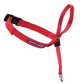 Premier Gentle Leader Head Collar Black, Petite by Premier