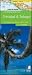 The Rough Guide Map Trinidad and Tobago (Rough Guide Map)