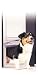Petsafe Deluxe Pet Panel - Small, Satin