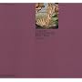 Italian Renaissance Painting (Phaidon Colour Library)