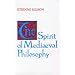 The Spirit of Mediaeval Philosophy (Scientific and Engineering Computation Series)
