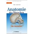 Anatomie des Menschen