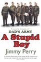 A Stupid Boy