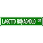 SAVE $8.96 - Lagotto Romagnolo STREET SIGN ~ High Quality Aluminum ~ Dog Lover $10.99