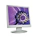 Acer AL1912 48,3 cm (19 Zoll) TFT-Monitor (Kontrast 500:!, 16ms
