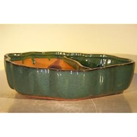 Bonsai Boy's Ceramic Bonsai Pot - Land Water with Scalloped Edges 9 5 x 7 5 x 2 25