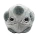 Giant Microbes HPV (Human papillomavirus)