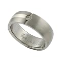 Titanium & Silver with Diamond Ring