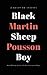 Black Sheep Boy: A Novel in Stories