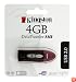Kingston 4GB USB 2.0 Hi-Speed DataTraveler 110 (Red) (DT110R/4GB)