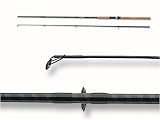 Daiwa SAM FISHER Spin 2.10m 10-40g