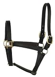 Perri's Leather 1 Track Halter - Havana - Weanling