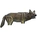 41YOHZ4VgsL. SL75  Buy Hunting Decoys Items