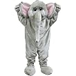 cheap mascot costumes