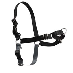 Premier Easy Walk Large Harness, Black