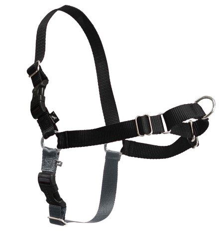Pet Safe EW-H-L-BK-45 Easy Walk Harness Large, schwarz im Preisvergleich 