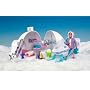 Animal Hospital On Location - Polar  - Ice Hospital & Skidu