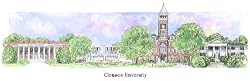 Clemson University - Collegiate Colors - 5" x 13" Framed Prints