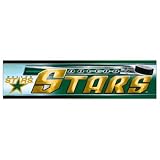Dallas Stars Official Logo Bumper Sticker