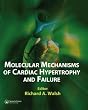 Molecular Mechanisms of Cardiac Hypertrophy and Failure