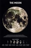 The Moon Subject Poster Print, 24x36