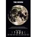 Moon Poster Print 24x36 Collections Poster Print, 24x36 Poster Print, 24x36