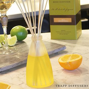 Trapp Candles - Reed Diffuser Kit - #4 Orange/Vanilla - 8 fl. oz.