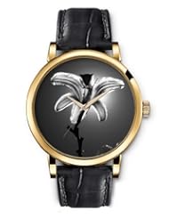 SPRAWL Aanalog Fashion Series Gold Ladies Watches of Genuine Black Leather Strap,Unique Wrist Watch for Women Girls Designed with Lily silver