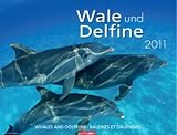Produkt-Bild: Wale und Delfine 2011