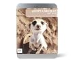 Gift Republic: Adopt A Meerkat Gift Box