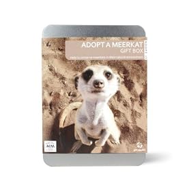Gift Republic: Adopt A Meerkat Gift Box