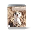 Gift Republic: Adopt A Meerkat Gift Box