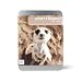 Gift Republic: Adopt A Meerkat Gift Box