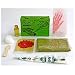 Complete MEHNDI HENNA KIT Temporary Body INK Tattoo