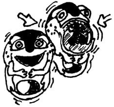 Pkg (2) Squishy Frog Rings Great for Parties!