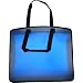 Filexec Carry All Bag, In-Side Pocket, Business Card Slot, Zippered Closure, Blue (34981)