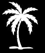 Palm Tree 6...