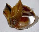 スモーク牛のヒズメ 10個