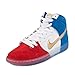 Nike Men's Dunk High Premium SB Skate Shoe