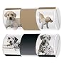 Venom Nintendogs Magic Game Tube Case (Nintendo DS)
