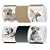 Venom Nintendogs Magic Game Tube Case (Nintendo DS)