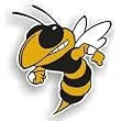 NCAA Georgia Tech Yellowjackets 12 inch Vinyl Magnet