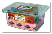 Nature Zone Cricket Breeding Kit