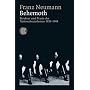 Behemoth. Struktur und Praxis des Nationalsozialismus 1933-1944